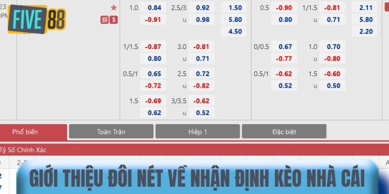 Giới thiệu đôi nét về nhận định kèo nhà cái