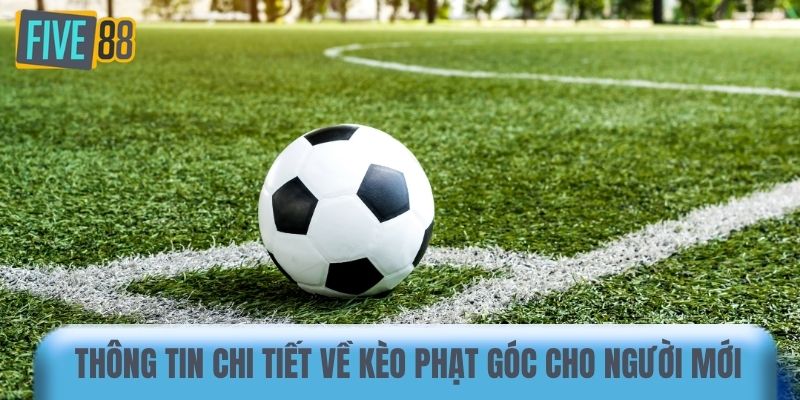 Thông tin chi tiết về kèo phạt góc cho người mới